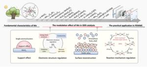 Multifunctional roles of manganese in acidic oxygen evolution catalysis.