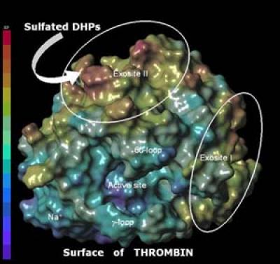 Desai Clotting (1 of 2)