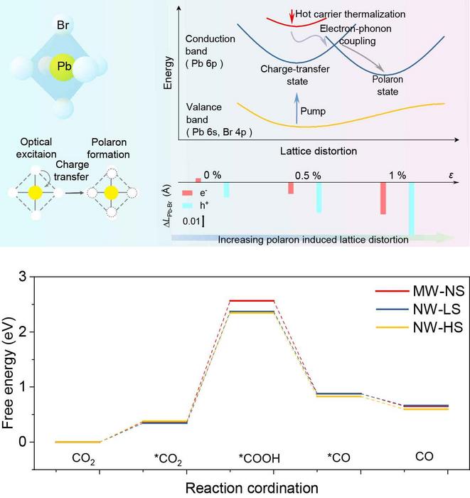 How Strain Tuning Boosts Performance: Slower Decay & Lower Barriers