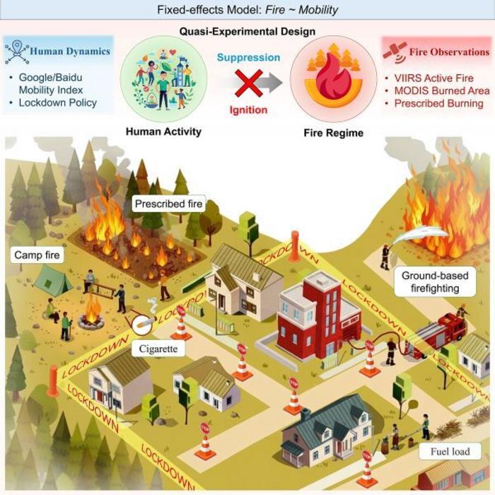 Human activity affects global fire regimes through two opposing pathways