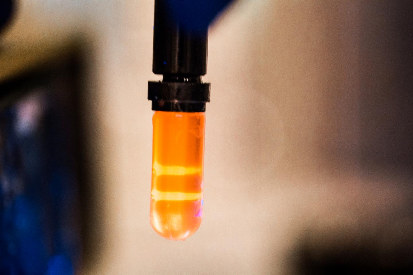 Study of Circular DNA Comes Full Circle with Use of Old Technique