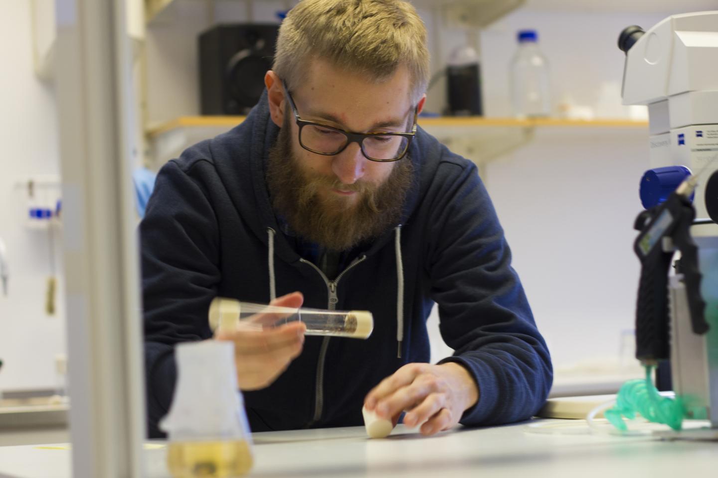 Researcher at Linköping University Study Fruit Flies