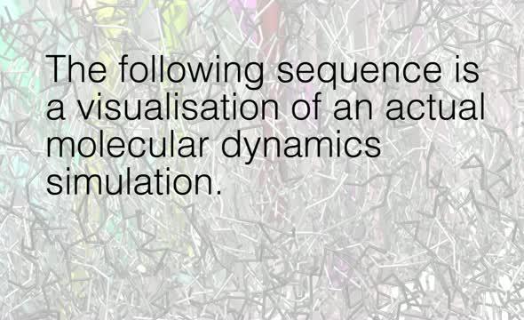 Simulation of Photosystem II