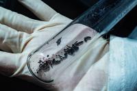 Chromium Triiodide