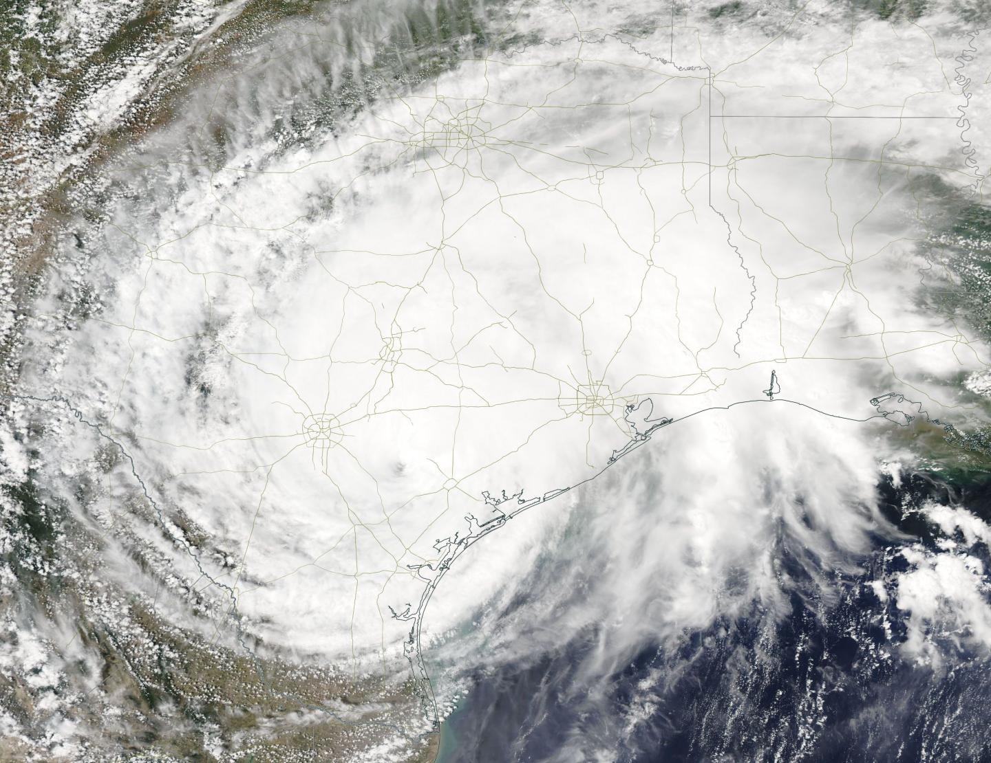 Aqua Image of Harvey