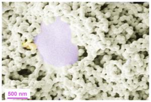 Close up biocoating