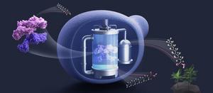 Researchers achieve chain-length control of fatty acid biosynthesis in yeast