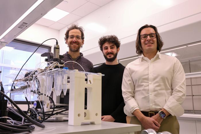 The Researchers