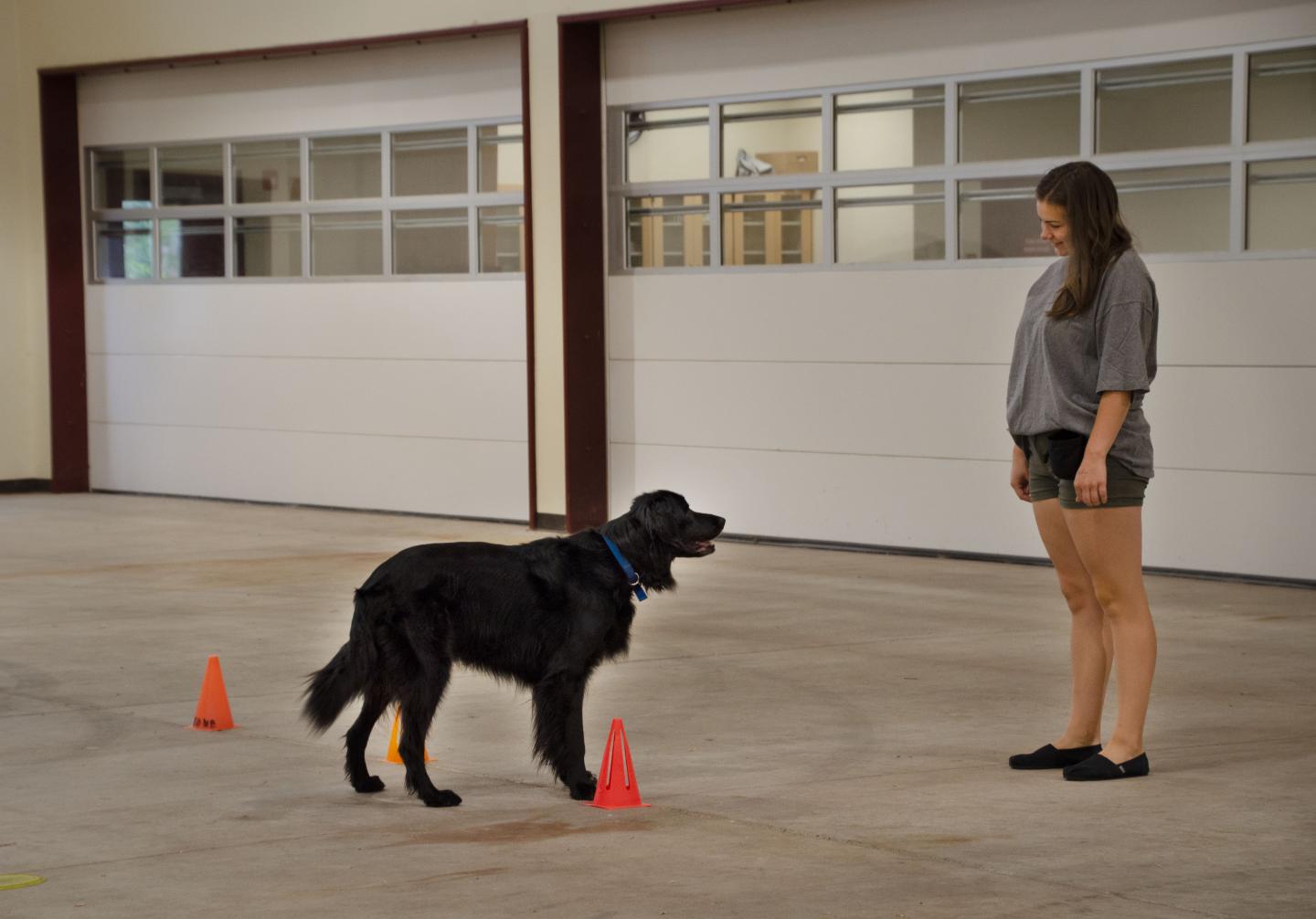 dog and child
