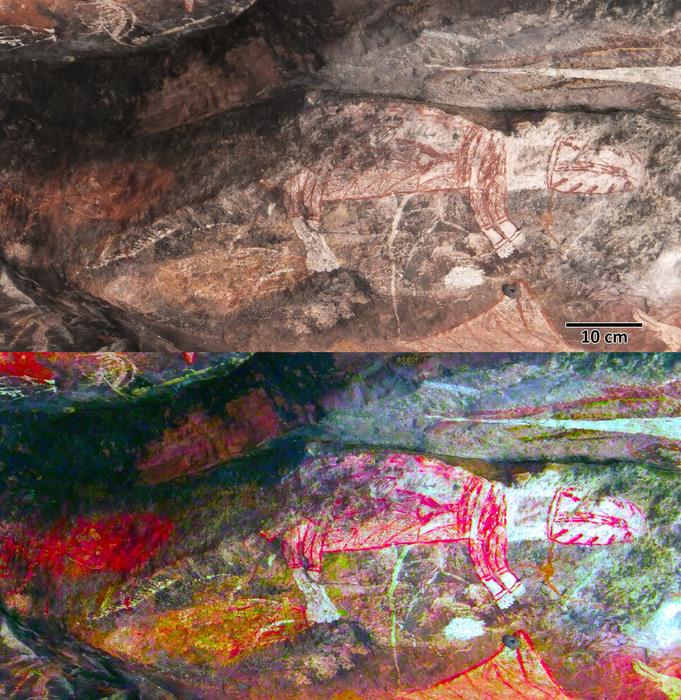 Red and white painting of a thylacine, Main Gallery, Injalak Hill