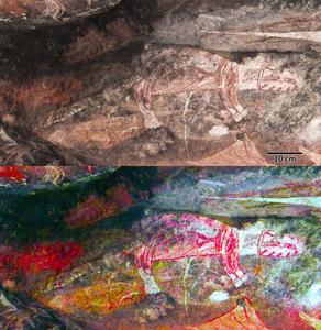 Red and white painting of a thylacine, Main Gallery, Injalak Hill