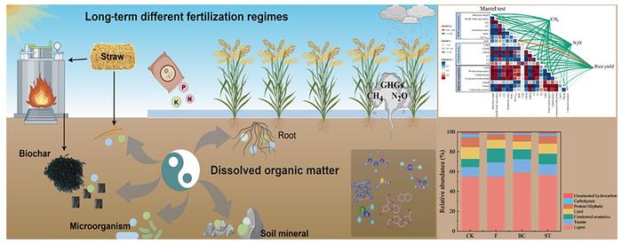 Long-term fertilization regimes modulate dissolved organic matter molecular chemodiversity and greenhouse gas emissions in paddy soil