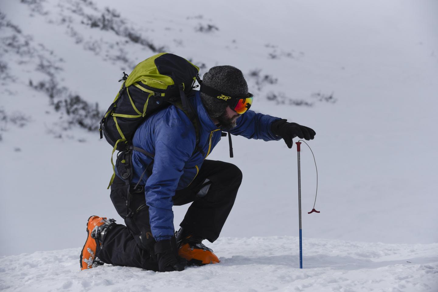 Avalanche Probe