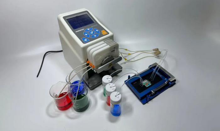 Tumor-on-a-Chip