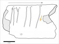 Illustration and photograph of the bone and the engravings.