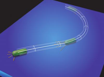 Biofilm Formation -- a Walk on the Wild Side (2 of 5)