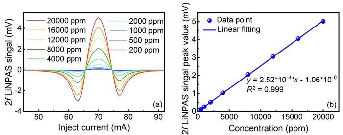 C2H2-LiNPAS system with AmR