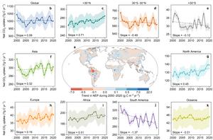 Temporal patterns in global and regional wetland carbon sequestration