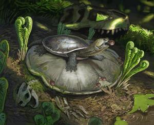 Reconstruction of a snail-eating turtle