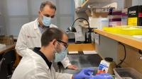 Researchers at The Ohio State University Wexner Medical Center