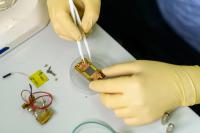 Photo. Mounting a superconducting chip on a board.
