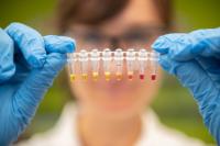 Zinc Deficiency Test Demonstrated in the Lab