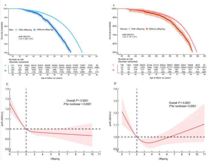 Kaplan-Meier estimates and results of the restricted cubic spline.