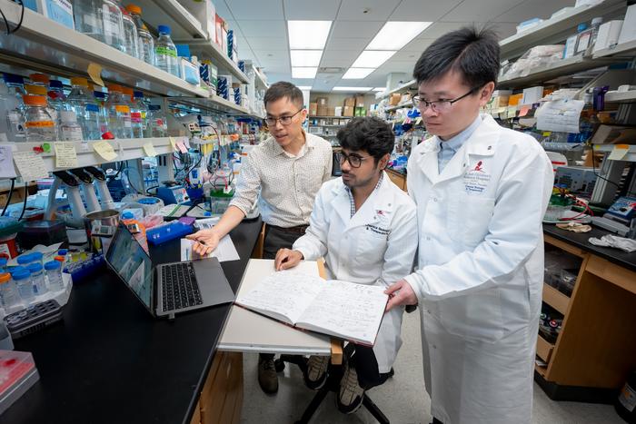 Mechanism behind PARP1-mediated DNA repair characterized for first time