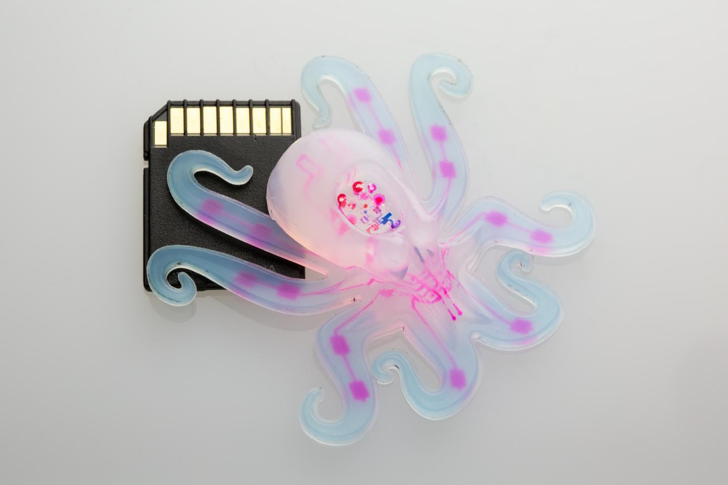 The Octobot Scale