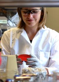 Scientist at Work