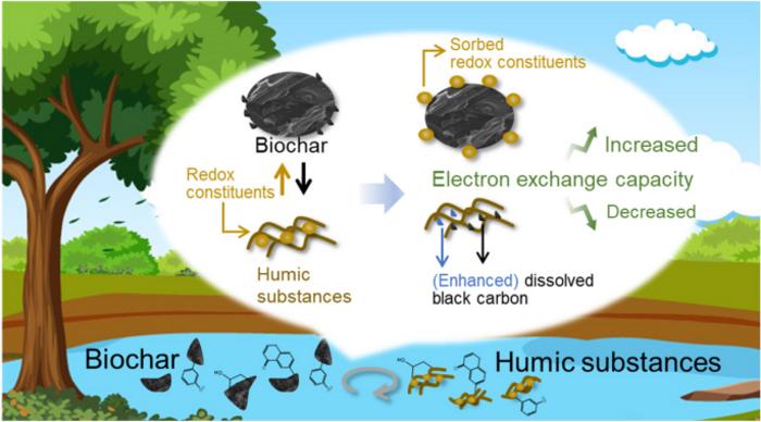 Variations in redox properties of biochar and humic acid induced by interactive molecular exchange