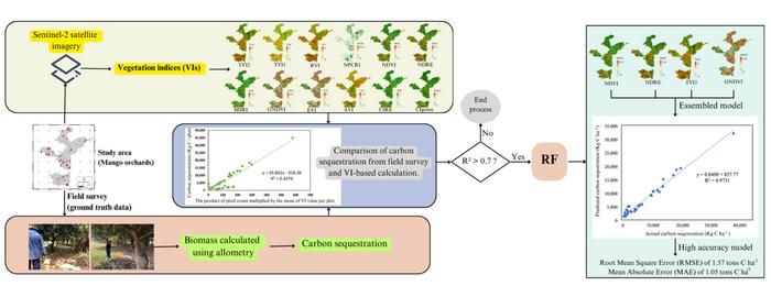 Machine learning technique for carbon sequestration estimation of mango orchards area using Sentinel-2 Data
