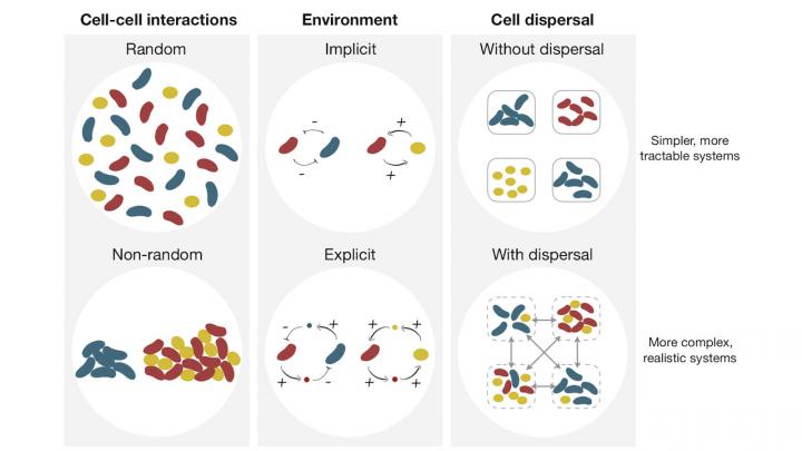 The Variety of Potential Interactions between Organisms and Their Environment
