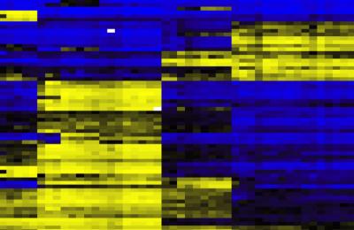 Methylation