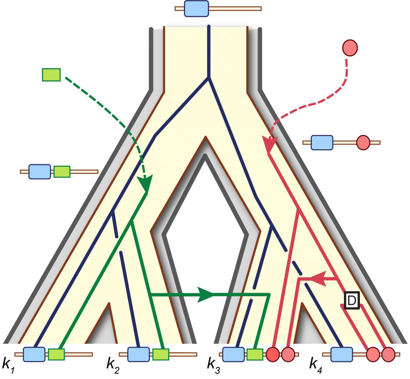 Evolutionary History of a Hypothetical Multidomain Family