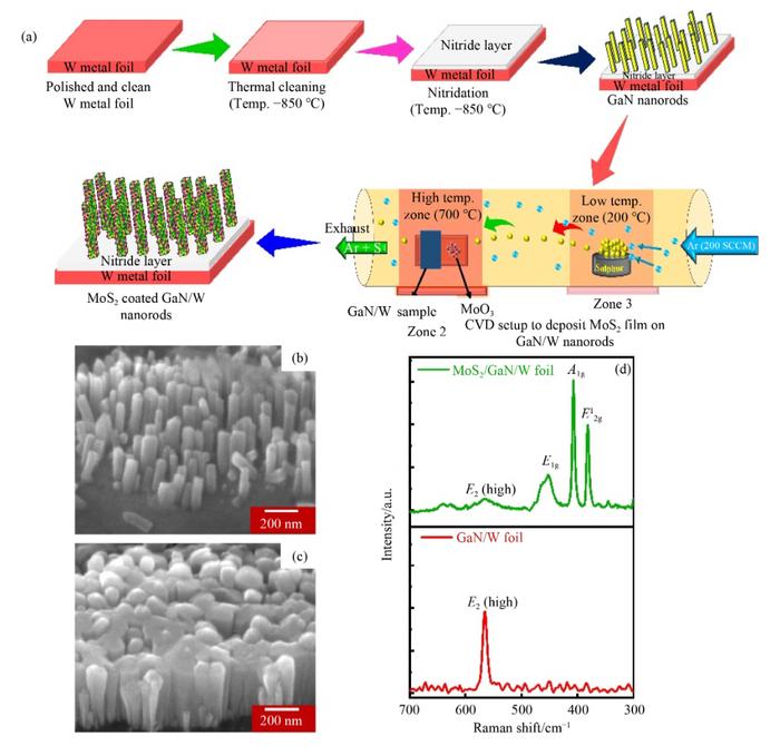 Schematic illustration of the growth process