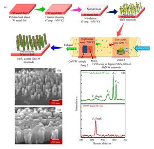 Schematic illustration of the growth process