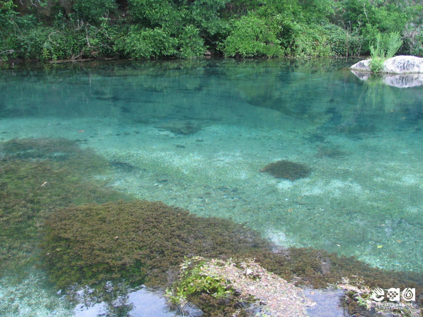 Edwards Aquifer