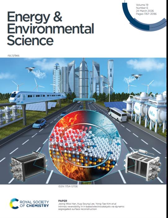 Front cover of Energy & Environmental Science (Vol. 19, No. 6, March 2026) featuring the IrFe/C electrocatalyst research