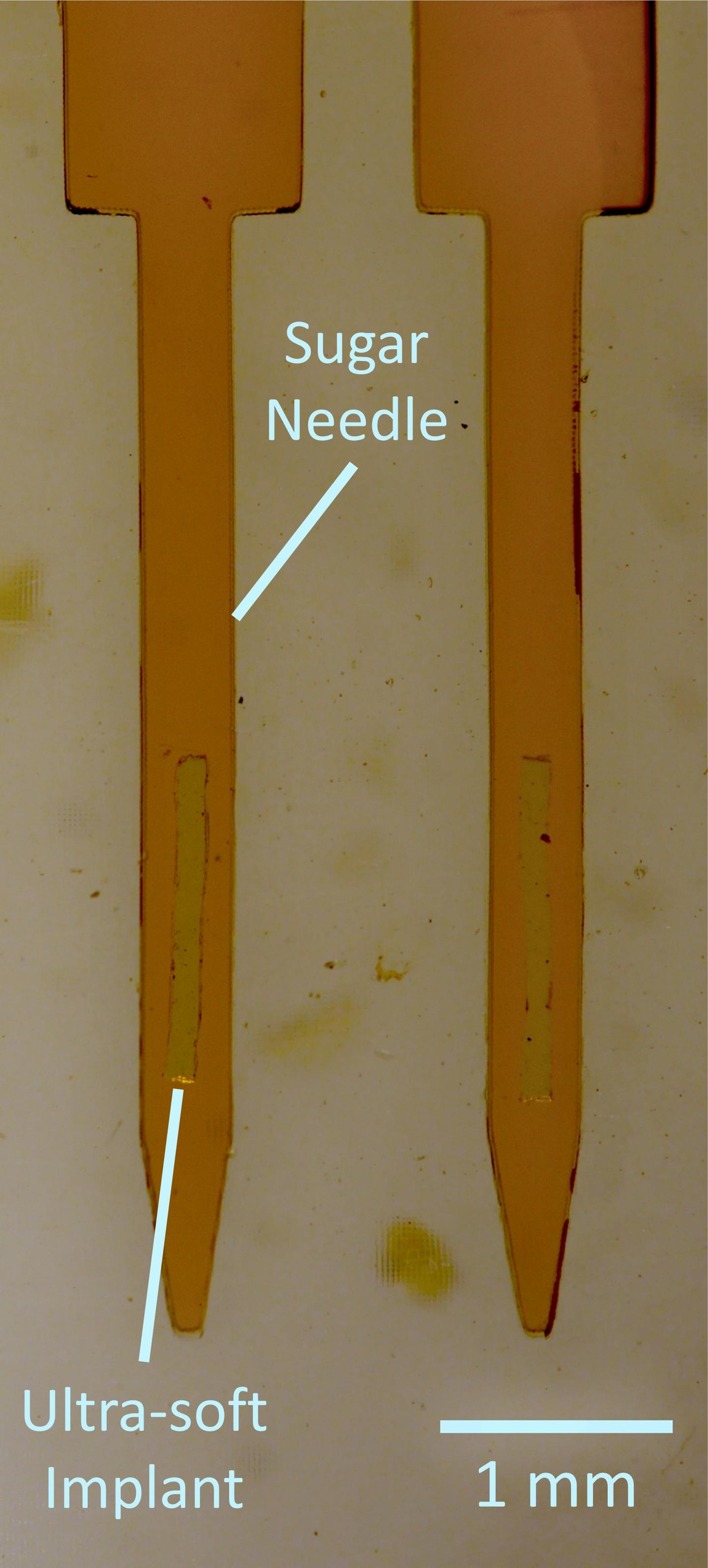 Sugar needle