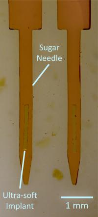 Sugar needle