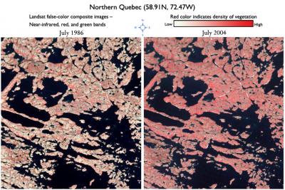 Vegetation Comparison in Northern Quebec