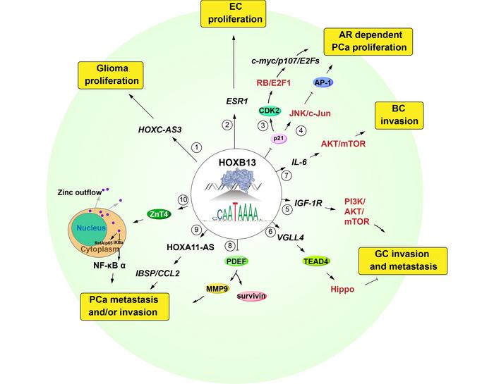 Fig1