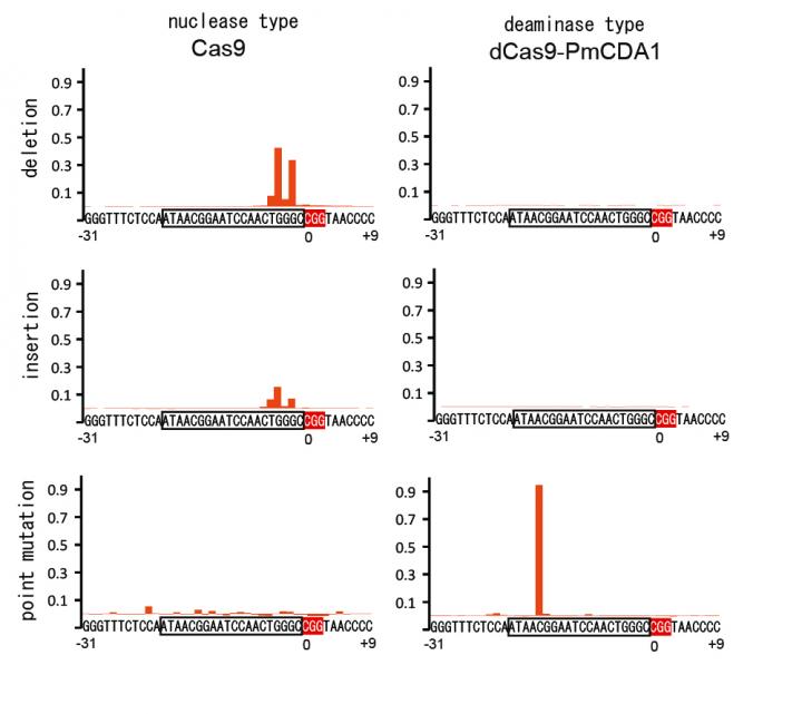 Effects of Mutation Induction through Genome Editing