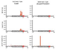 Effects of Mutation Induction through Genome Editing