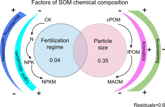 Biochemical composition of soil organic matter physical fractions under 32-year fertilization in Ferralic Cambisol