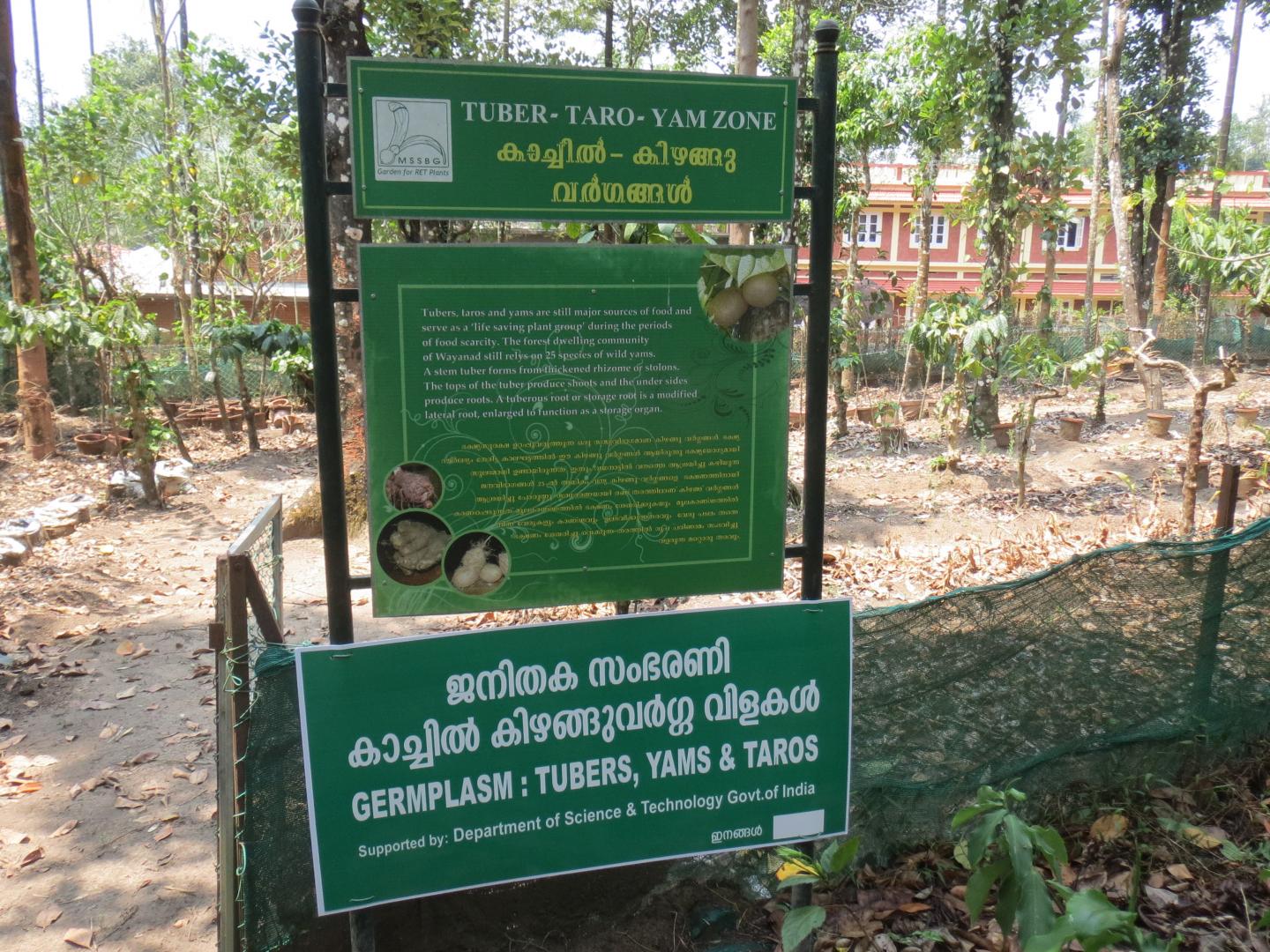 Krishnan Fig 3
