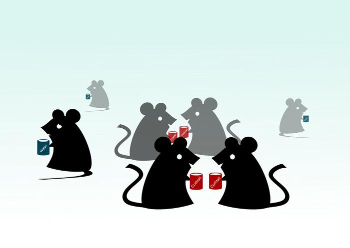 Supplement trio shows promise in reversing autism-linked behaviors in mice