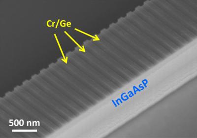 SEM of Lasing/Anti-Lasing Device