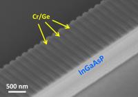 SEM of Lasing/Anti-Lasing Device